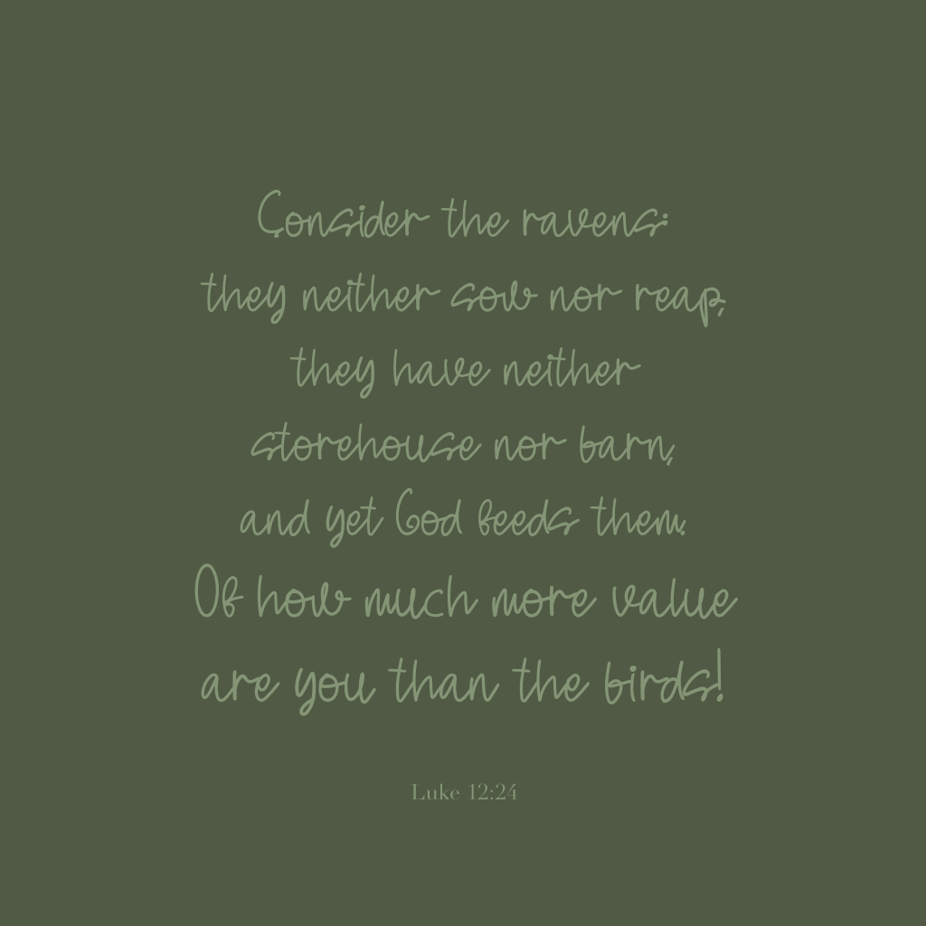 Consider the ravens: they neither sow nor reap, they have neither storehouse nor barn, and yet God feeds them. Of how much more value are you than the birds!

Luke 12:24