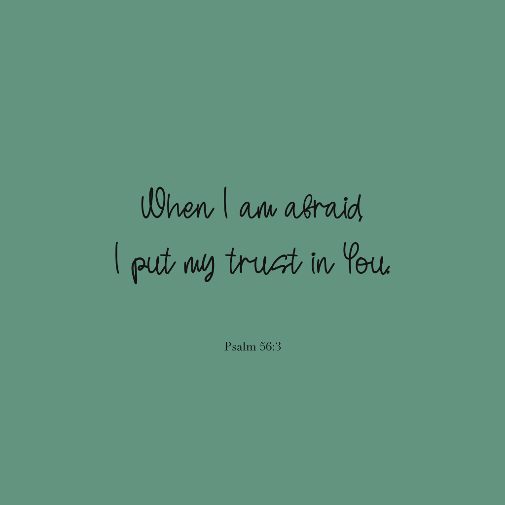 "When I am afraid, I put my trust in You."
Psalm 56:3