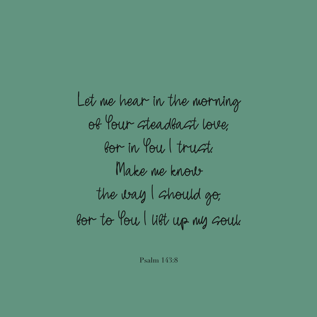 "Let me hear in the morning of Your steadfast love, for in You I trust. Make me know the way I should go, for to You I lift up my soul."
Psalm 143:8