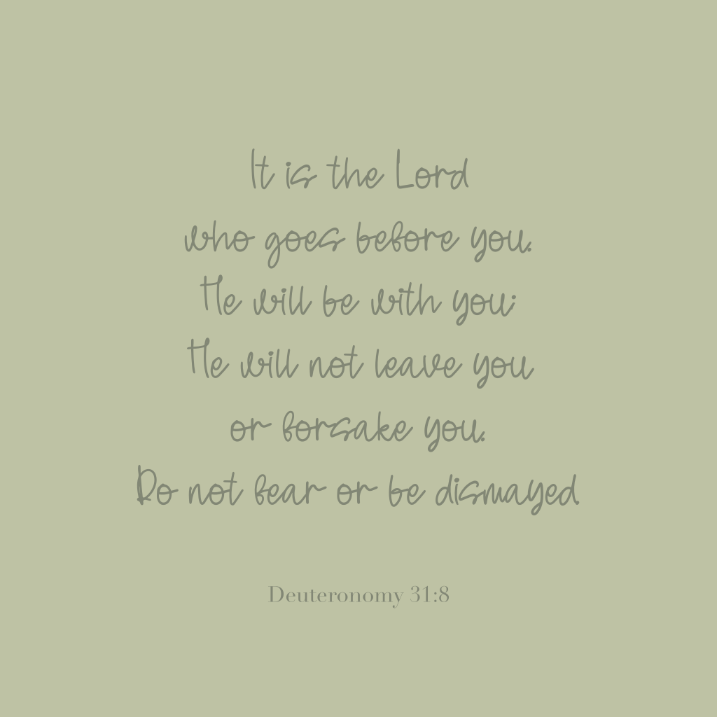 "It is the Lord who goes before you. He will be with you; He will not leave you or forsake you. Do not fear or be dismayed." 

Deuteronomy 31:8
