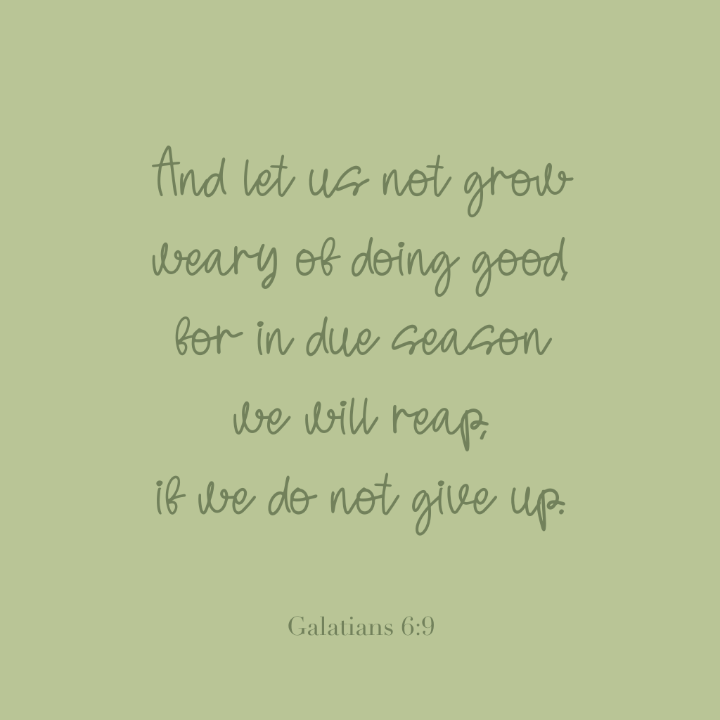 "And let us not grow weary of doing good, for in due season we will reap, if we do not give up."
Galatians 6:9